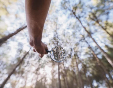 «Поиск смыслов»