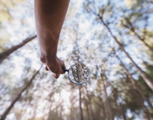 «Поиск смыслов»